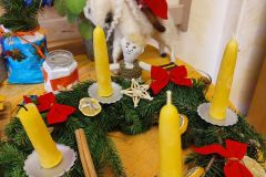 IMG_20221125_125722