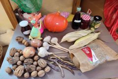 IMG_20221011_082210