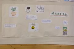 IMG_20230112_142937