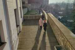 IMG-20230119-WA0003