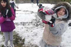 IMG-20230124-WA0006