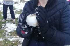 IMG-20230124-WA0021