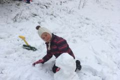 IMG-20230124-WA0030