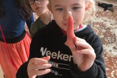 IMG-20230202-WA0005