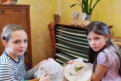 IMG_20230202_113439
