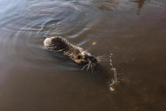 IMG-20230228-WA0009