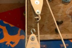 IMG-20230308-WA0013