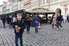 IMG-20230321-WA0013