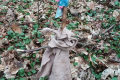 IMG_20230324_102158_168