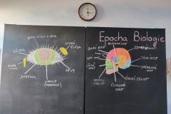2023-03-31 Epocha biologie