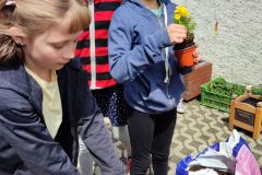 IMG_20230510_123850