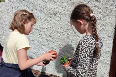 IMG_20230510_124230