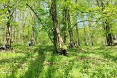IMG-20230510-WA0011