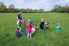 IMG-20230512-WA0003