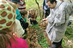 IMG-20230512-WA0011