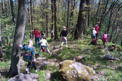 IMG_20230510_105411_442