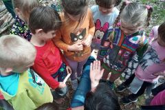 IMG_20230510_144842_402