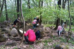 IMG_20230510_145640_993