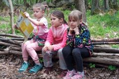 IMG_20230510_152606_539