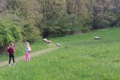 IMG_20230511_104038_831