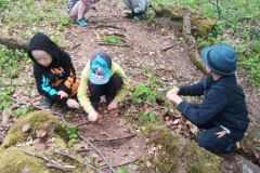 IMG_20230511_144104_184