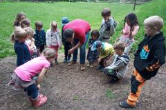 IMG_20230511_152738_748