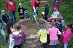 IMG_20230511_153007_066
