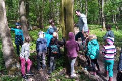 IMG_20230512_094754_428