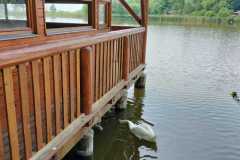 IMG-20230601-WA0022
