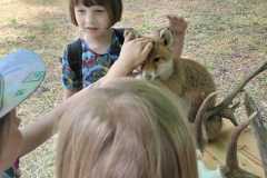 IMG-20230601-WA0027