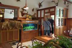 IMG-20230601-WA0037