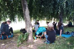 IMG_20230601_114458_983