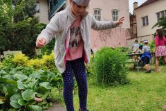 IMG_20230607_152431