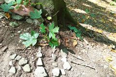 IMG_20230905_123734