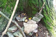 IMG_20230905_123858
