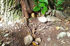 IMG_20230905_123923