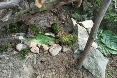 IMG_20230905_124059