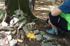 IMG_20230905_124136