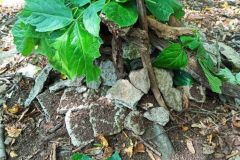 IMG_20230905_124433