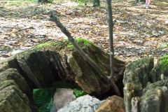 IMG_20230905_124715