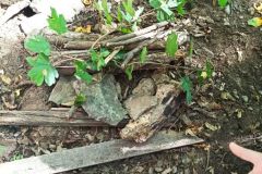IMG_20230905_124942