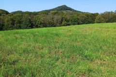 IMG_20230908_111937
