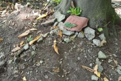 IMG_20230908_113843