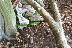 IMG_20230908_114027