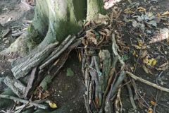 IMG_20230908_114333