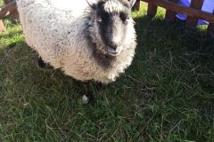 IMG_20230909_101350