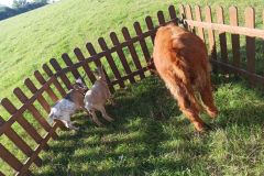 IMG_20230909_101402