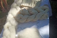 IMG_20230909_113721