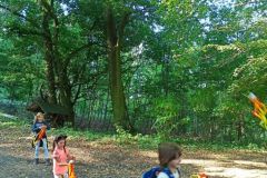 IMG_20230927_102253