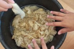 IMG_20231003_123451